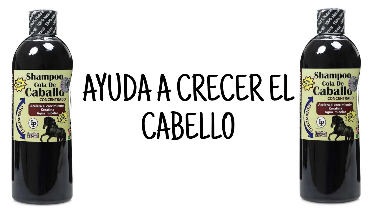 Beneficios del shampoo Xiomara con cola de caballo