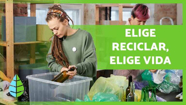 Beneficios y Objetivos del Reciclaje: Cuidando el Medio Ambiente y ...